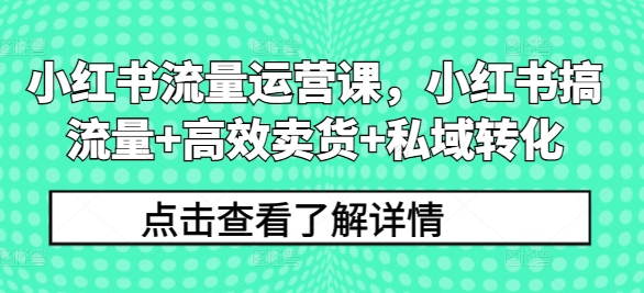 小红书流量运营课，小红书搞流量+高效卖货+私域转化-九源吧网赚学院