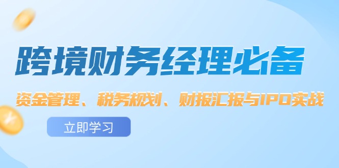 跨境 财务经理必备：资金管理、税务规划、财报汇报与IPO实战-九源吧网赚