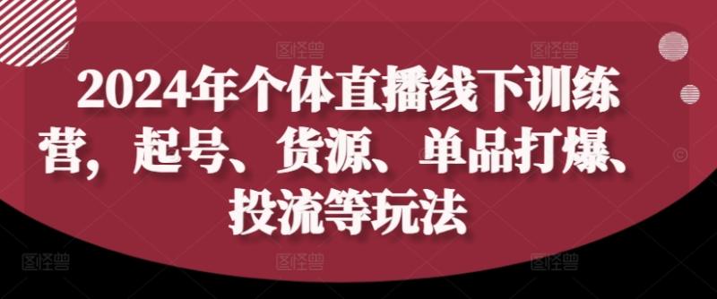2024年个体直播训练营，起号、货源、单品打爆、投流等玩法-九源吧资源站