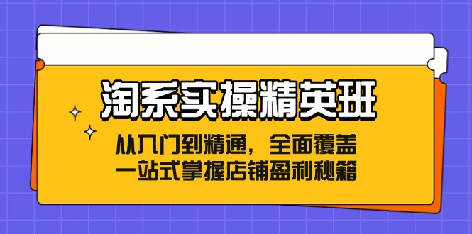 淘系实操精英班：从入门到精通，全面覆盖，一站式掌握店铺盈利秘籍-九源吧网赚