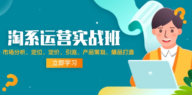 淘系运营实战班：市场分析、定位、定价、引流、产品策划，爆品打造-九源吧网赚