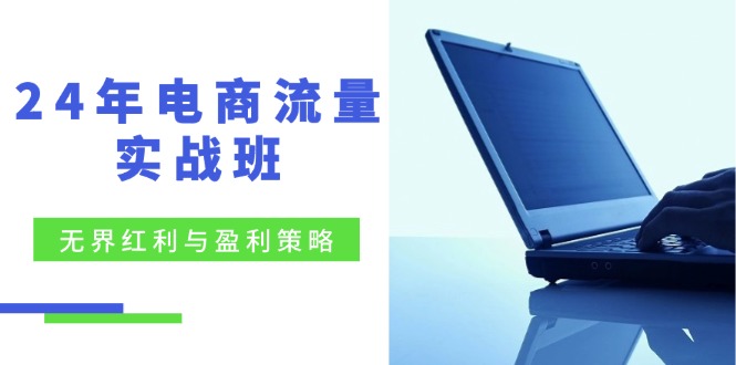 24年电商流量实战班：无界 红利与盈利策略，终极提升/关键词优化-九源吧网赚