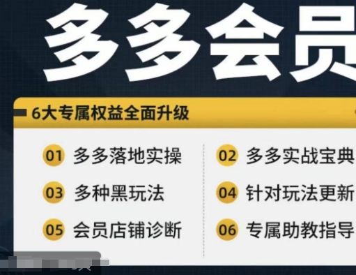拼多多会员，拼多多实战宝典+实战落地实操，从新手到高阶内容全面覆盖-九源吧网赚