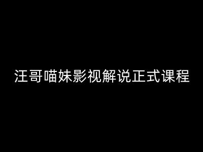 汪哥影视解说正式课程：剪映/PR教学/视解说剪辑5大黄金法则/全流程剪辑7把利器等等-九源吧网赚