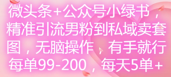 微头条+公众号小绿书，精准引流男粉到私域卖套图，无脑操作，有手就行，每单99-200，每天5单-九源吧网赚