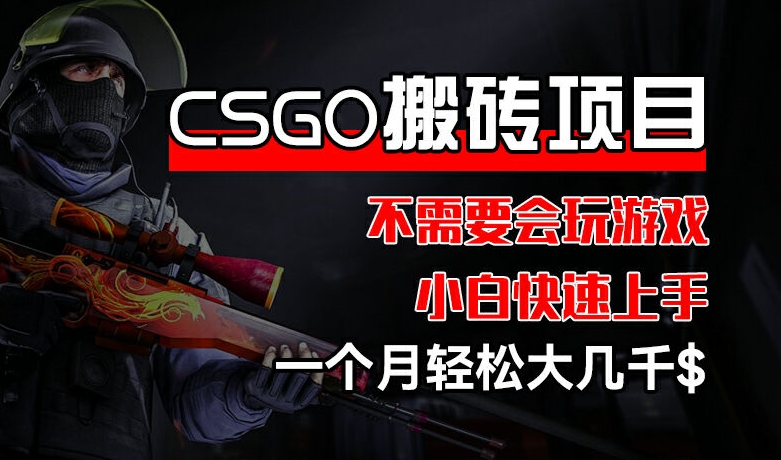 CSGO 装备搬砖项目，操作简单，不需要会玩游戏，小白也能快速上手，一个月轻松大几千【揭秘】-九源吧网赚
