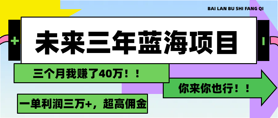 未来三年，蓝海赛道，月入3万+-九源吧网赚学院