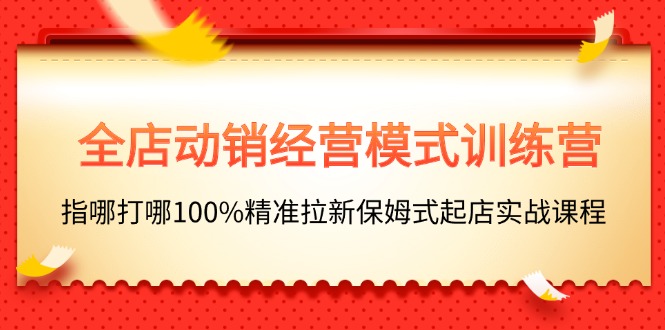 全店动销-经营模式训练营，指哪打哪100%精准拉新保姆式起店实战课程-九源吧网赚