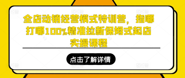 全店动销经营模式特训营，指哪打哪100%精准拉新保姆式起店实操课程-九源吧网赚