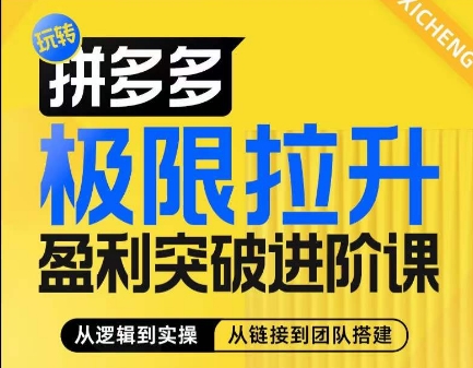 拼多多极限拉升盈利突破进阶课，​从算法到玩法，从玩法到团队搭建，体系化系统性帮助商家实现利润提升-九源吧网赚