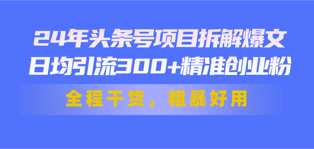 24年头条号项目拆解爆文，日均引流300+精准创业粉，全程干货，粗暴好用-九源吧