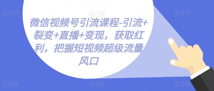 微信视频号引流课程-引流+裂变+直播+变现，获取红利，把握短视频超级流量风口-九源吧网赚
