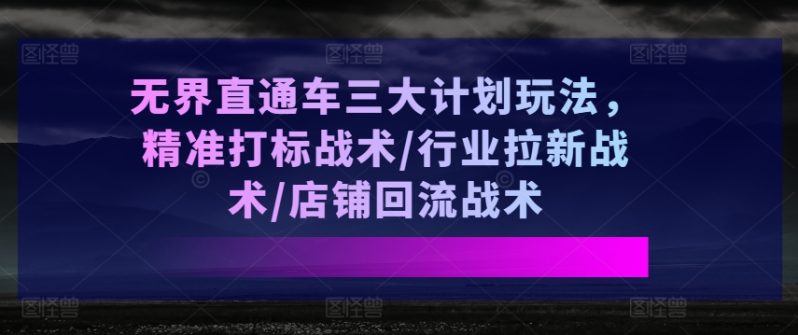 无界直通车三大计划玩法，精准打标战术/行业拉新战术/店铺回流战术-九源吧网赚学院