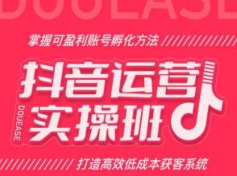 抖音运营实操班，掌握可盈利账号孵化方法，打造高效低成本获客系统-九源吧网赚
