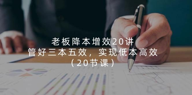 老板 降本增效20讲，管好 三本五效，实现低本高效（20节课）-九源吧网赚