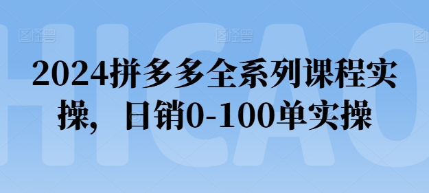 2024拼多多全系列课程实操，日销0-100单实操【必看】-九源吧网赚