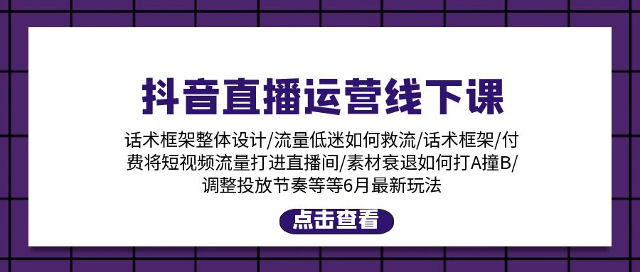 抖音直播运营线下课：话术框架/付费流量直播间/素材A撞B/等6月新玩法-九源吧网赚