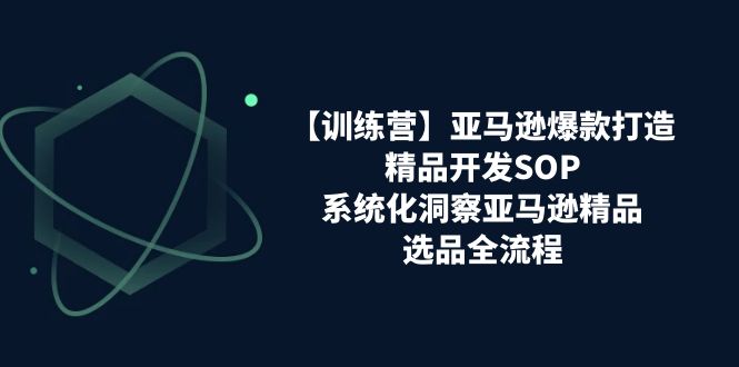 【训练营】亚马逊爆款打造之精品开发SOP，系统化洞察亚马逊精品选品全流程-九源吧网赚