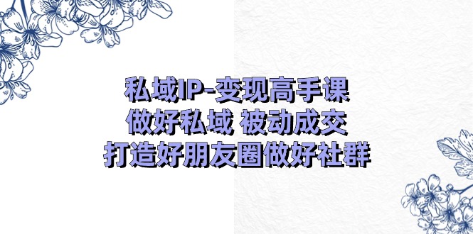 私域IP-变现高手课：做好私域 被动成交，打造好朋友圈做好社群（18节）-九源吧网赚