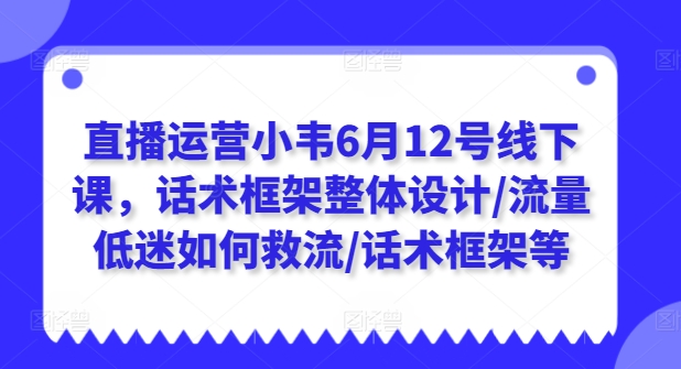 直播运营小韦6月12号线下课，话术框架整体设计/流量低迷如何救流/话术框架等-九源吧网赚