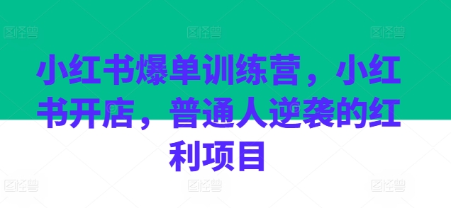 小红书爆单训练营，小红书开店，普通人逆袭的红利项目-九源吧网赚