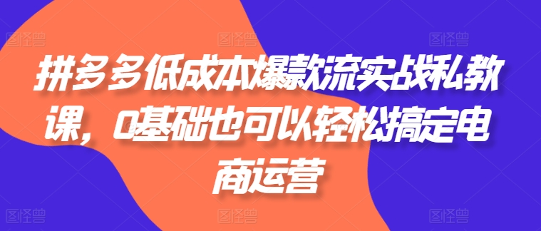拼多多低成本爆款流实战私教课，0基础也可以轻松搞定电商运营-九源吧网赚
