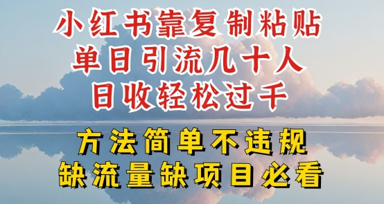 小红书靠复制粘贴单日引流几十人目收轻松过千，方法简单不违规【揭秘】-九源吧网赚学院