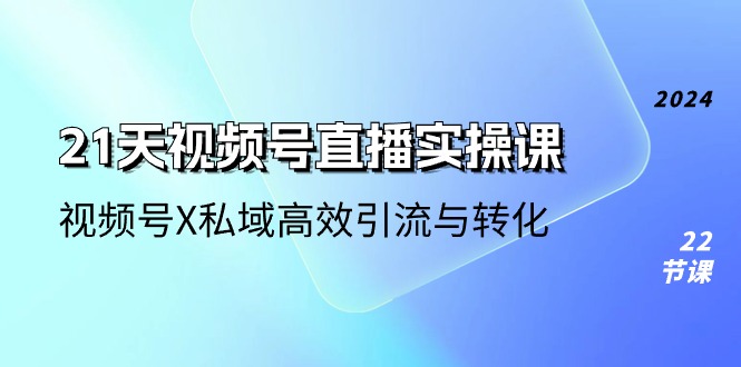 21天-视频号直播实操课，视频号X私域高效引流与转化（22节课）-九源吧网赚学院