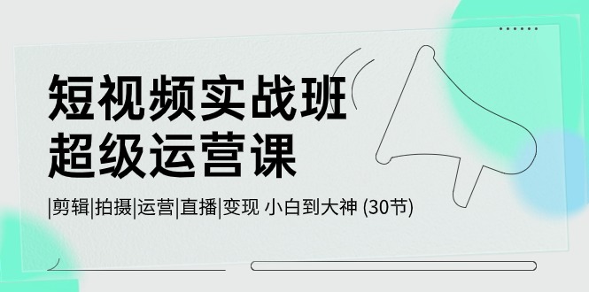 短视频实战班-超级运营课，|剪辑|拍摄|运营|直播|变现 小白到大神 (30节)-九源吧网赚
