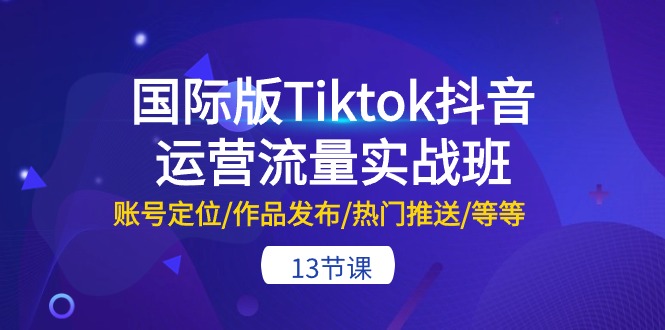 国际版Tiktok抖音运营流量实战班：账号定位/作品发布/热门推送/等等-13节-九源吧网赚