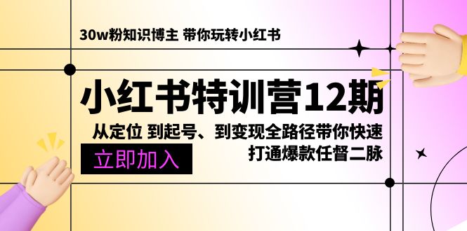 小红书特训营12期：从定位 到起号、到变现全路径带你快速打通爆款任督二脉-九源吧网赚
