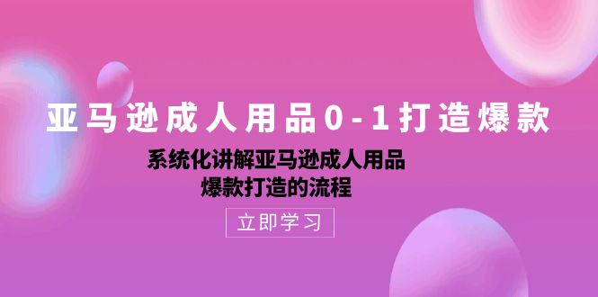 亚马逊成人用品0-1打造爆款课：系统化讲解亚马逊成人用品爆款打造的流程-九源吧网赚学院