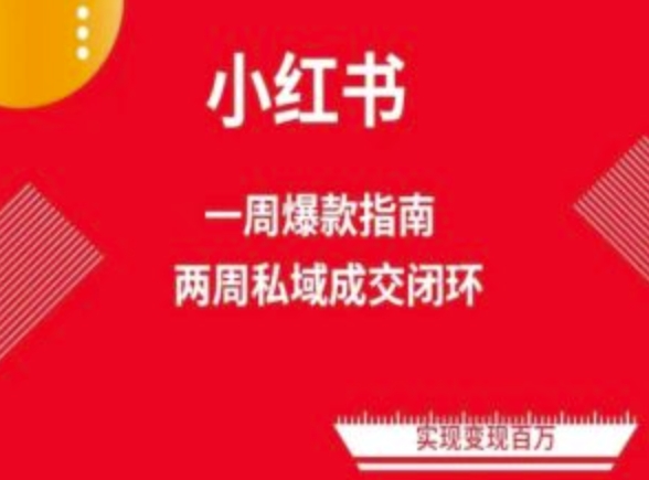 小红书流量秘籍：两周速成爆款笔记，解锁免费流量池-九源吧网赚