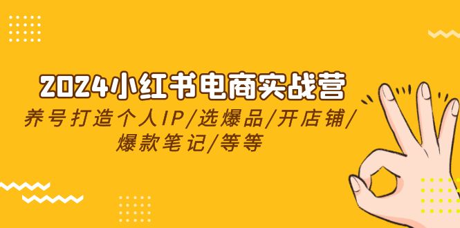 2024小红书电商实战课程，养号打造IP/选爆品/开店铺/爆款笔记/等等（24节）-九源吧网赚