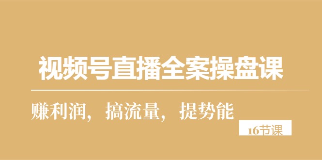 视频号直播实操攻略：从零到一，打造高利润直播间（16节课）-九源吧网赚