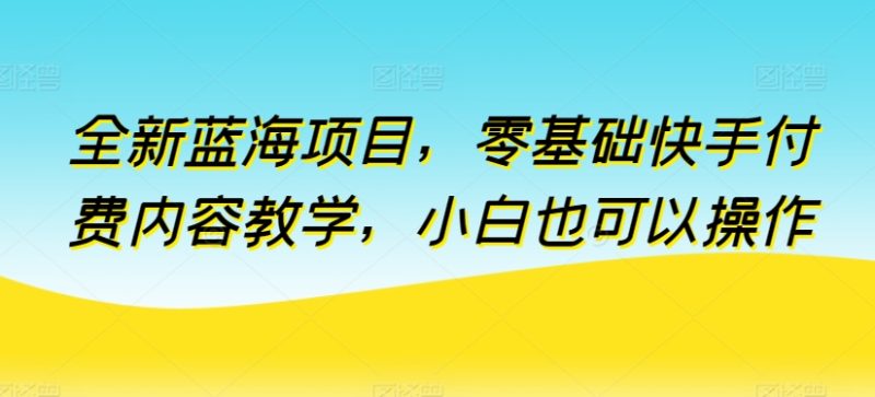 全新蓝海项目，从零开始：快手付费内容教学，小白变专家的秘密-九源吧网赚