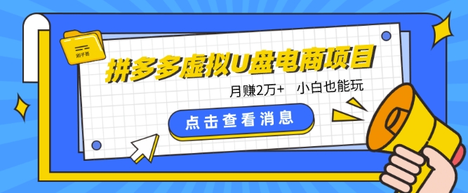 拼多多虚拟U盘电商：月赚2万+，红利项目，普通小白也能玩-九源吧网赚