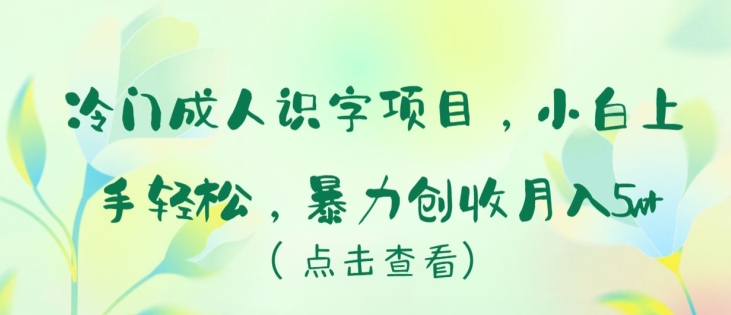 冷门项目成人识字，新手小白上手轻松，暴力创收月入5W+【揭秘】-九源吧网赚