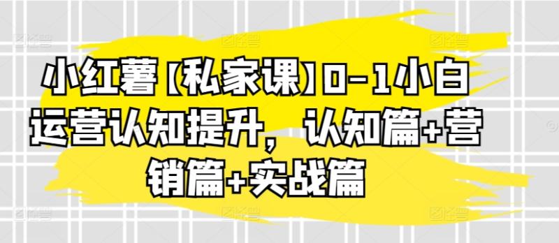 小红薯私家精品课：0-1小白运营认知提升，认知篇 营销篇 实战篇-九源吧资源站