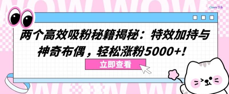 教你两个高效吸粉秘籍：特效加持与神奇布偶，轻松涨粉5000+【揭秘】-九源吧网赚学院