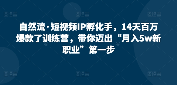 自然流·短视频IP孵化训练营，14天打造百万爆款，带你迈出“月入5W新职业”第一步-九源吧网赚学院
