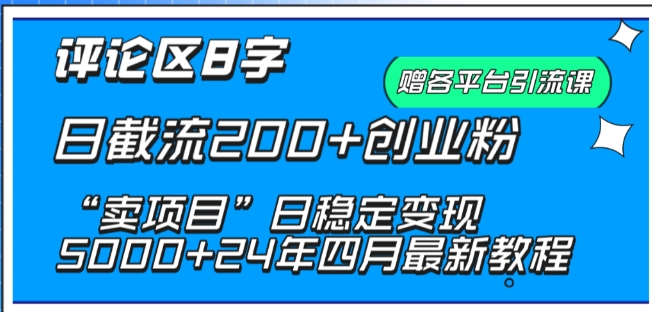 抖音评论区8字日截流创业粉， “卖项目”日稳定变现5000+【揭秘】-九源吧网赚