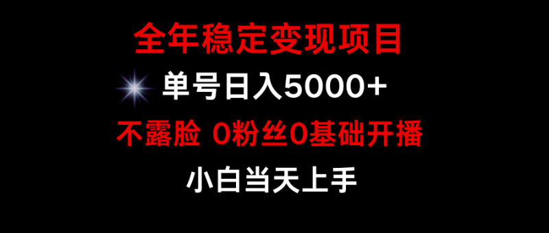 全年稳定变现，小游戏月入15w+项目，普通小白如何通过游戏直播改变命运-九源吧网赚