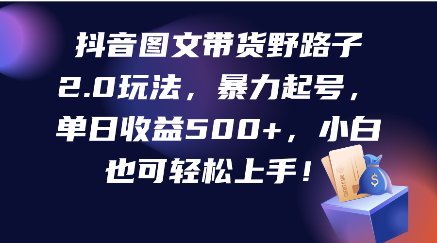 抖音图文带货野路子2.0玩法，暴力起号，单日收益500+，小白也可轻松上手！-九源吧网赚学院