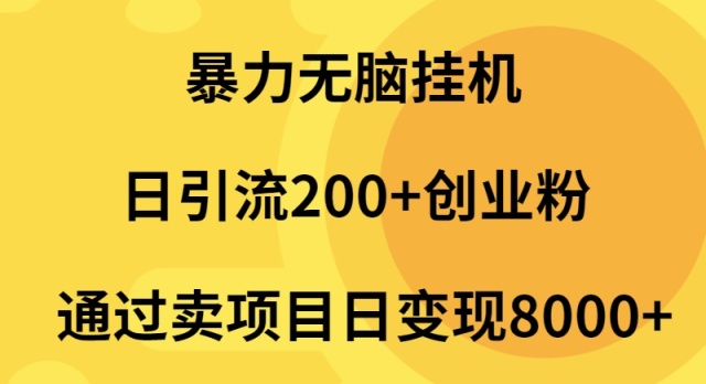 暴力无脑挂机日引流200+创业粉通过卖项目日变现2000+-九源吧网赚