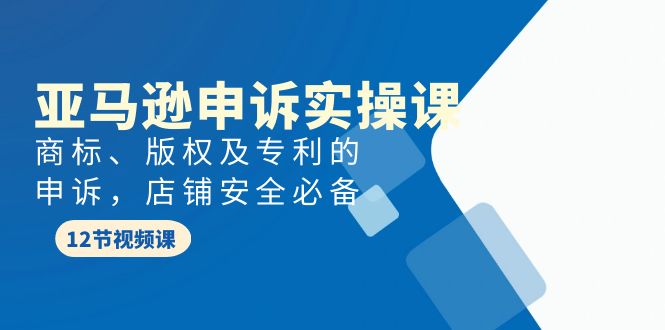 亚马逊-申诉实战课，商标、版权及专利的申诉，店铺安全必备-九源吧网赚