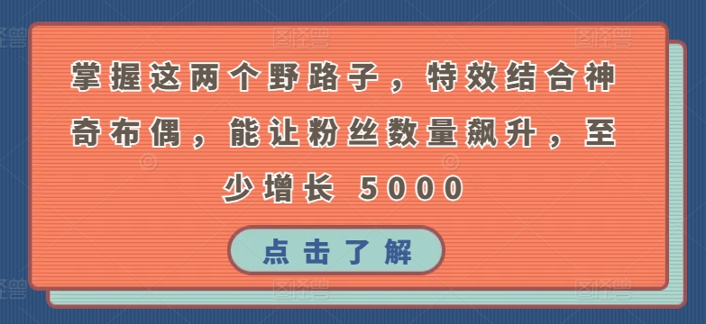 掌握这两个野路子，特效结合神奇布偶，能让粉丝数量飙升，至少增长 5000【揭秘】-九源吧网赚