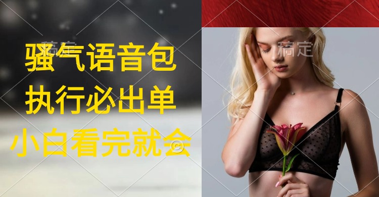 执行就出单，日入2000+，超火骚气语音包，小白看完课程就能马上实操-九源吧网赚