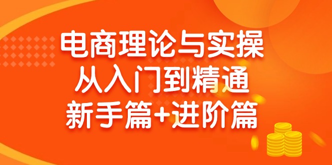电商理论与实操从入门到精通：抖店+淘系+多多，新手篇+进阶篇-九源吧资源站