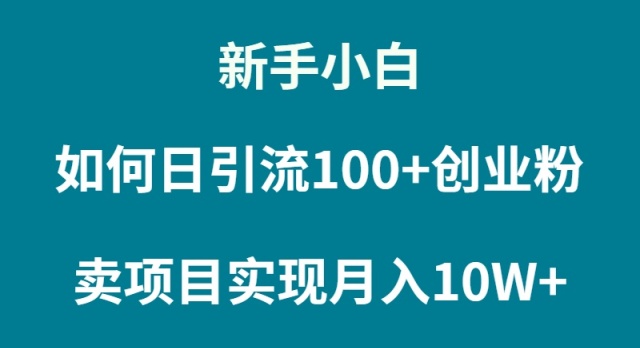 普通人小白如何通过卖项目实现月入10W+-九源吧网赚